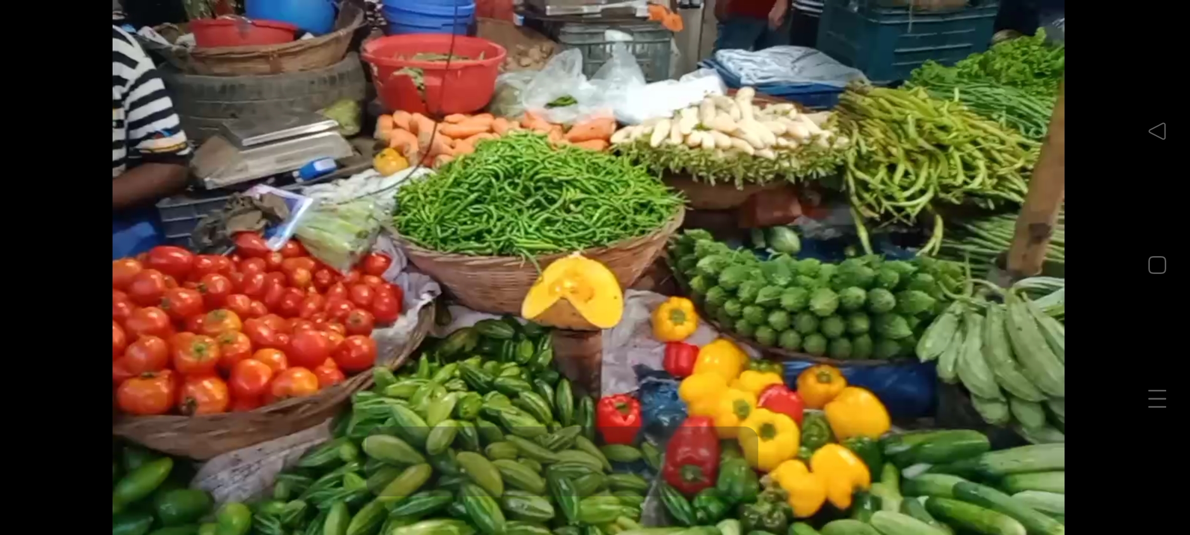 হঠাৎ বেগুন সহ বিভিন্ন সবজির দাম বেড়েছে কেন?